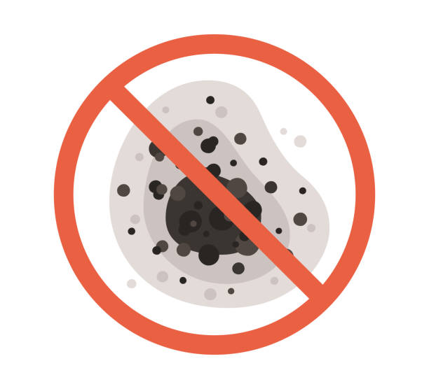 Dawson, TX Mold Removal Company