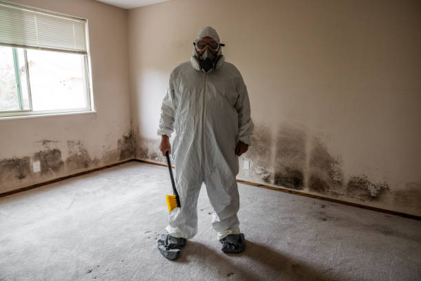Best Asbestos and Lead Testing During Mold Inspection  in Dawson, TX